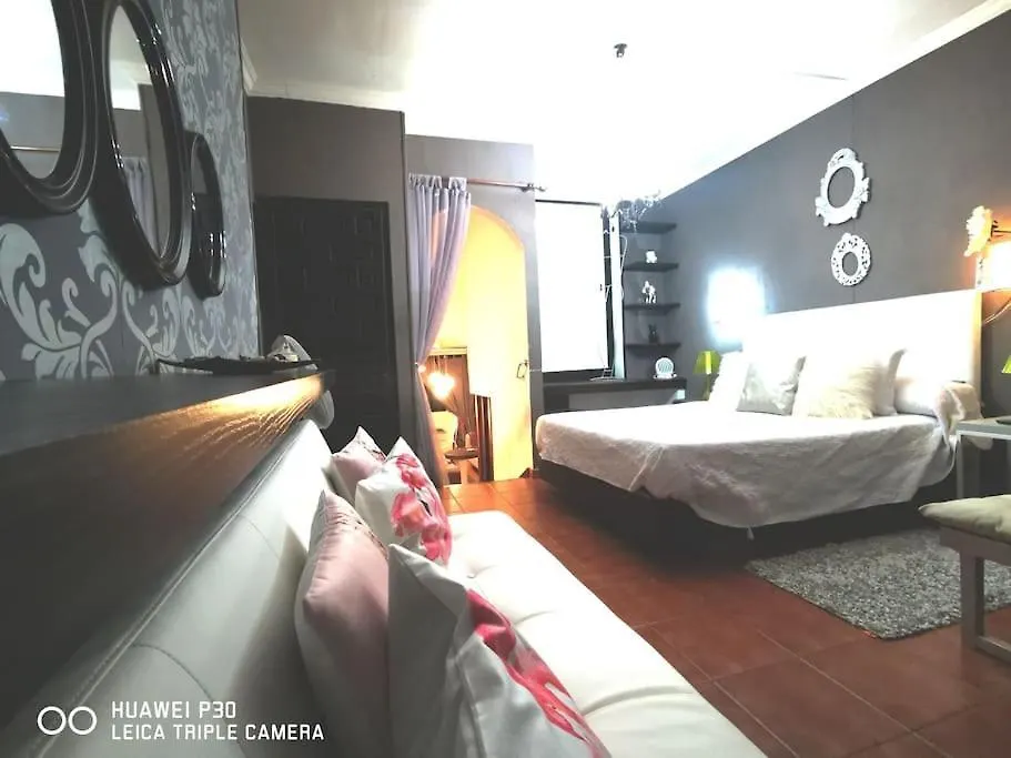 Apartanento Tipo Duplex 10Min De La Playa Puerto de la Cruz  Apartamento Puerto de la Cruz (Tenerife)
